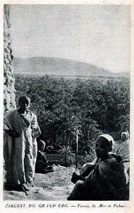 ALGERIE SAHARA 1923 A 29 EN RENAULT 6 ROUES (19)